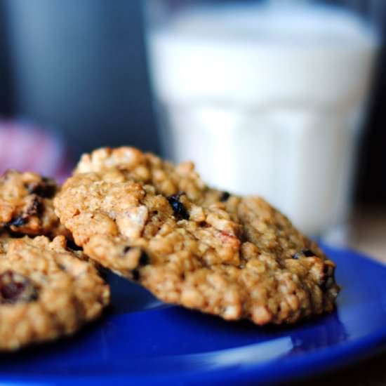 Cranberry Pecan Oatmeal Cookies - Recipe photo by chubbysoul