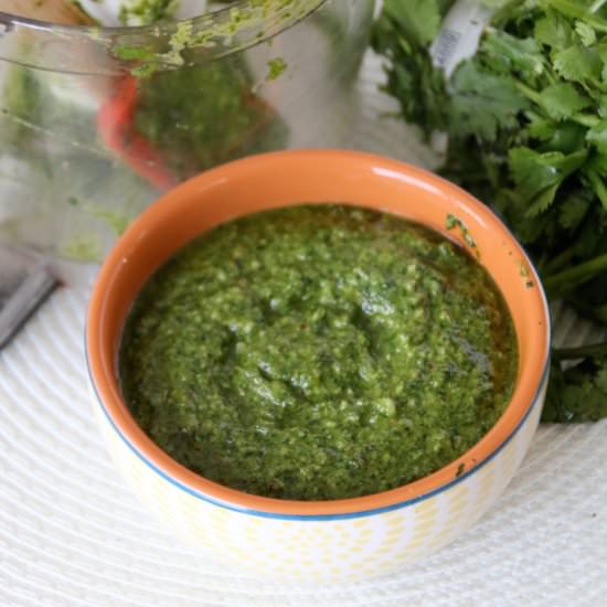 Cilantro Pesto - Recipe photo by practiganic