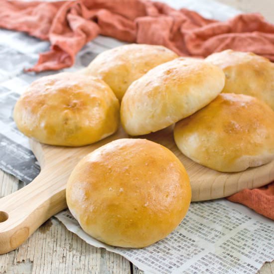 Siopao (Asian Filled Buns) - Recipe photo by kiwicook