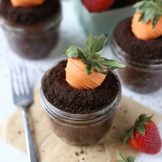 Garden Carrot Cupcakes - Recipe photo by yourcupofcake
