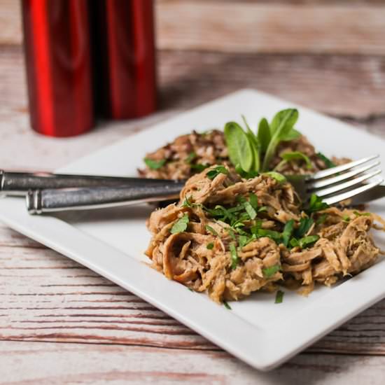 Slow Cooker Pork and Apples - Recipe photo by beyondmeresustenance