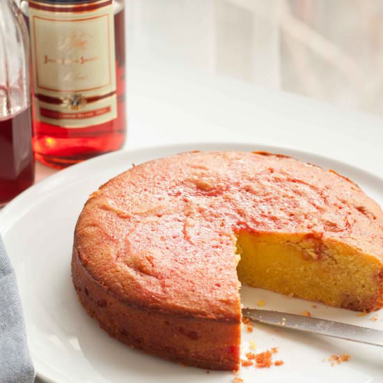Blood Orange & Campari Cake - Recipe photo by ScaredyCatKitchen