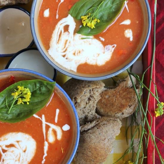 Tomato Bell Pepper Soup - Recipe photo by saffrontrail