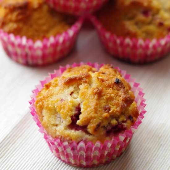 Raspberry and Coconut Muffins - Recipe photo by Thenoatbook