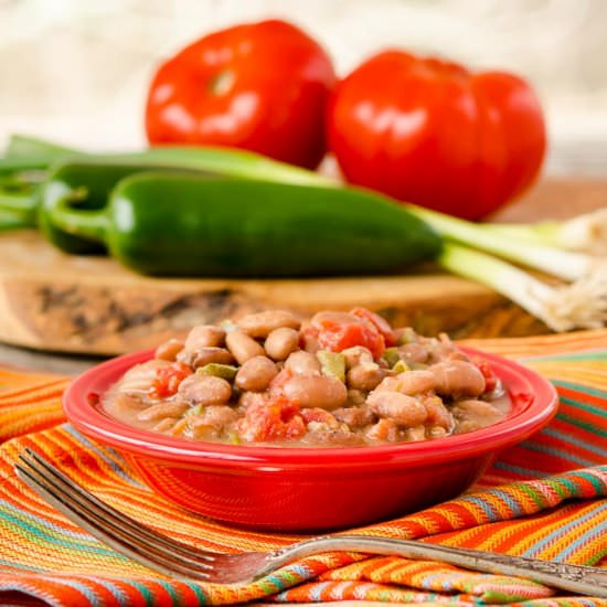 Spicy Pinto Beans - Recipe photo by magnolia days
