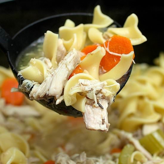 Slow Cooker Chicken Noodle Soup - Recipe photo by freshlyphotographed
