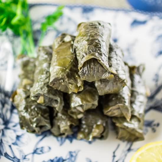 Meat & Rice Stuffed Grape Leaves - Recipe photo by Oliviascuisine