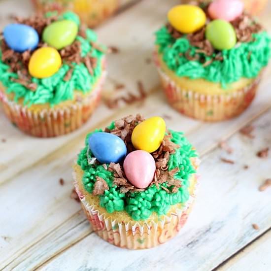 Bird's Nest Cupcakes - Recipe photo by thegoldlininggirl
