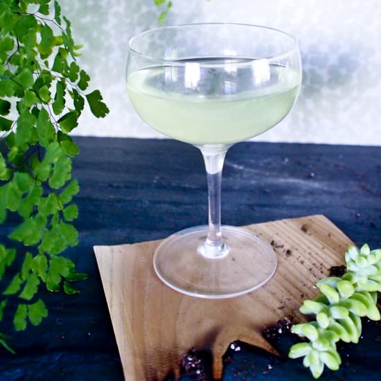 The Scotsman's Holiday - Recipe photo by dinexdesign