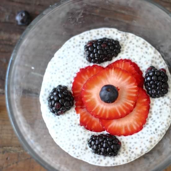 Coconut Chia Seed Breakfast Bowl - Recipe photo by shesavegan