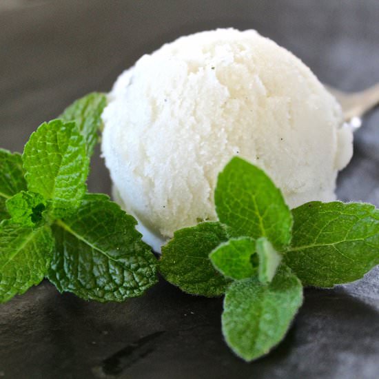 Mint Ice Milk - Recipe photo by eatgreens365
