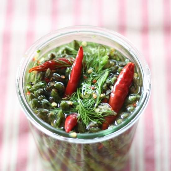 Pickled Skinny Asparagus Snacks - Recipe photo by Fermentedfoodlab