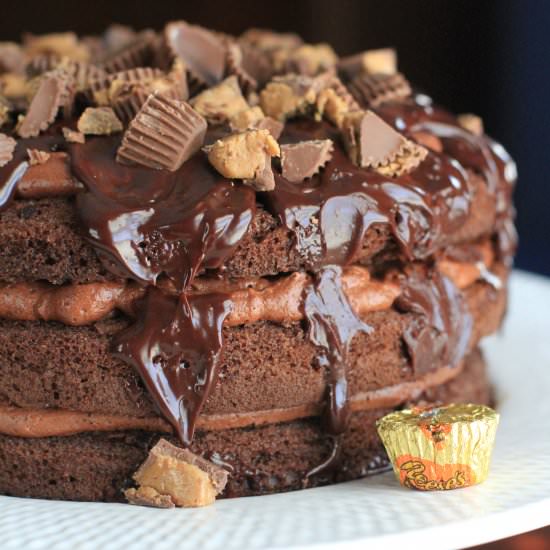 Reese's Torte - Recipe photo by asouthernmother