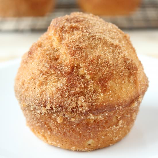 Cinnamon & Sugar Donut Muffins - Recipe photo by thesemisweetsisters