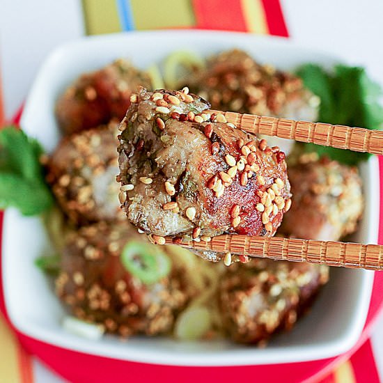 Sous Vide Miso Pork Meatballs - Recipe photo by theyumyumfactor