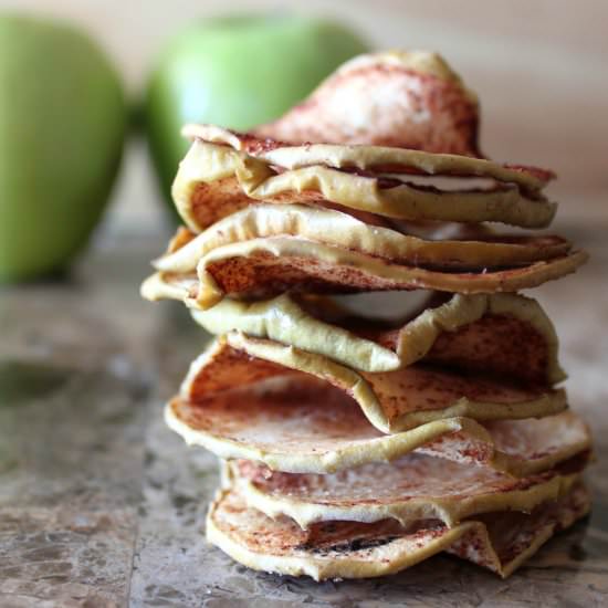 Cinnamon Apple Chips - Recipe photo by TheRusticWillow