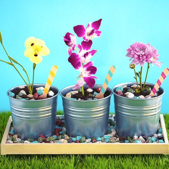 Spring Potted Dirt Cake - Recipe photo by Cleobuttera
