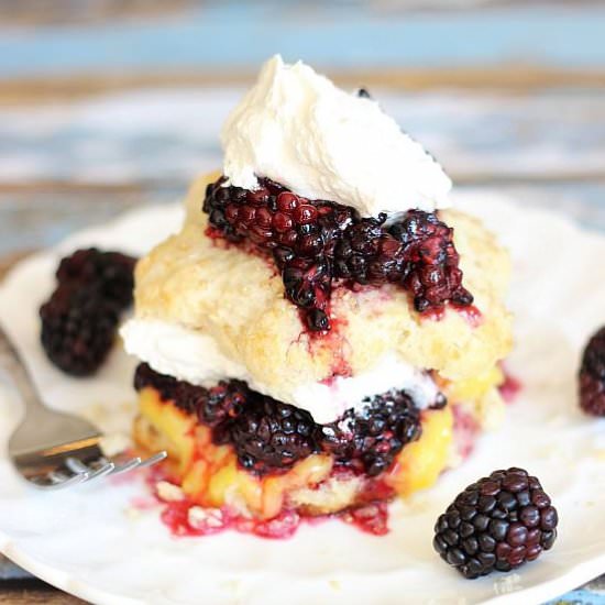 Blackberry & Lemon Curd Shortcakes - Recipe photo by thegoldlininggirl