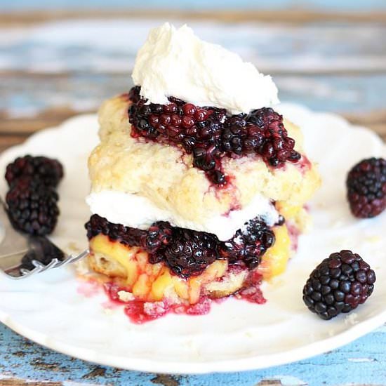 Blackberry & Lemon Curd Shortcakes - Recipe photo by thegoldlininggirl