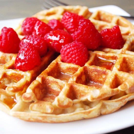 Belgian Protein Waffles - Recipe photo by AmeesSavoryDish