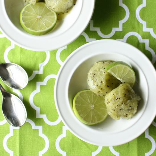 Kiwi Lime Sorbet - Recipe photo by This Seasons Table