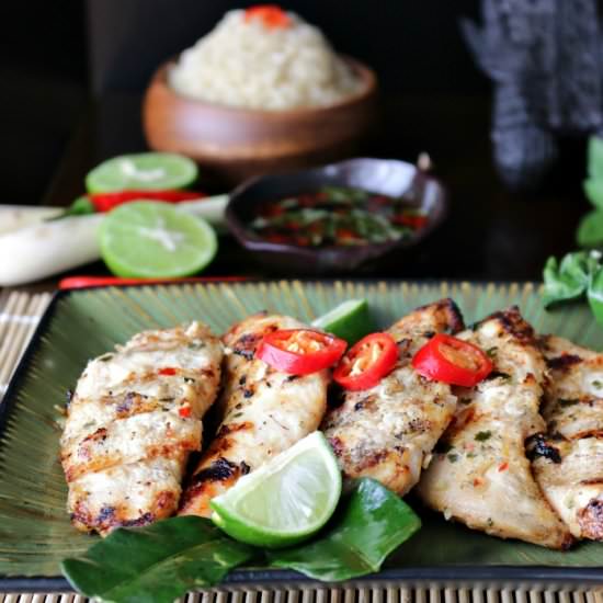 Thai Grilled Chicken Tenderloins - Recipe photo by Healthy World Cuisine
