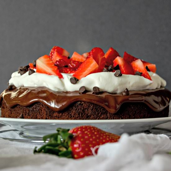 Brownie Cake - Recipe photo by PastryWorkshop