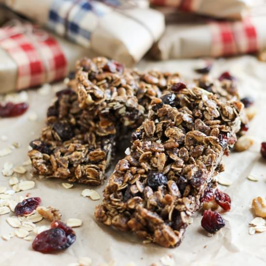 Dark Chocolate Protein Granola Bars - Recipe photo by stephinthyme