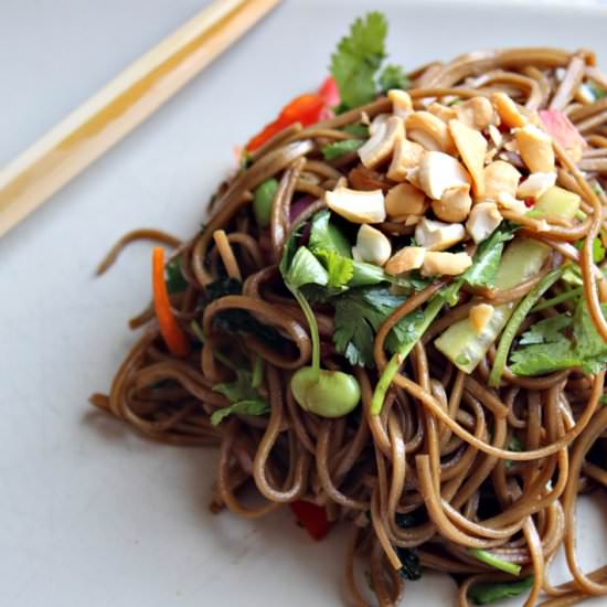 Soba Noodle Salad - Recipe photo by The Gumdrop Button