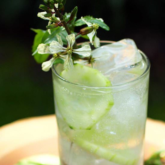 Cucumber Sangria Spritzer - Recipe photo by Recipe Fiction