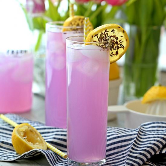 Lavender Lemonade - Recipe photo by the cookie rookie