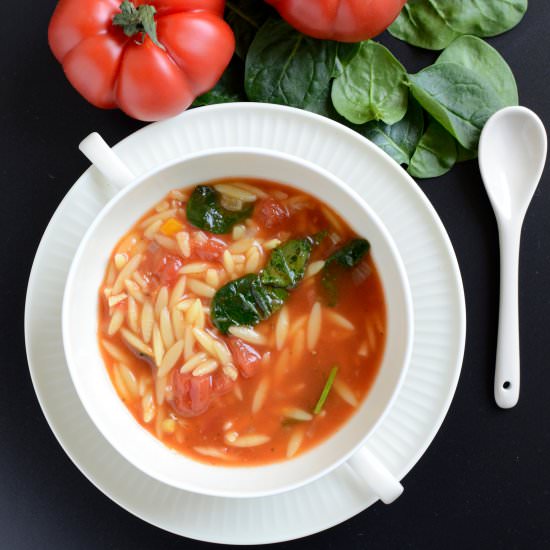 vegan Orzo & Veggie Soup - Recipe photo by vegancrossroads