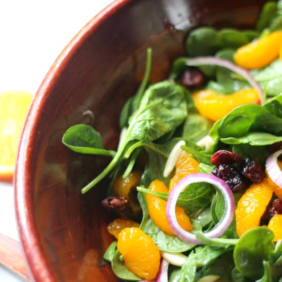 Cranberry Mandarin Spinach Salad - Recipe photo by practical-stewardship