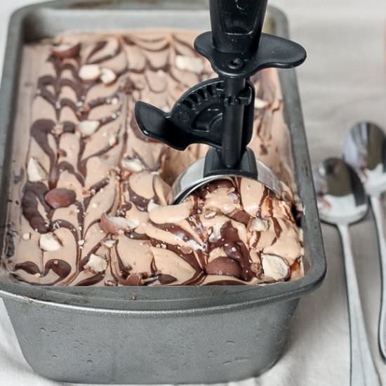 Chocolate Malt Mocha Ice Cream - Recipe photo by bakerita