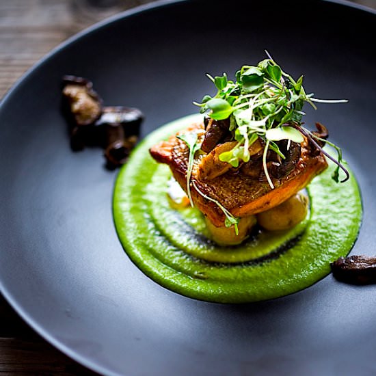 Seared Steelhead Salmon - Recipe photo by Feasting at Home