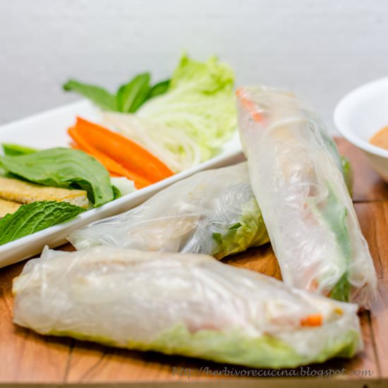 Vietnamese Rice Paper Spring Rolls - Recipe photo by Herbivore Cucina