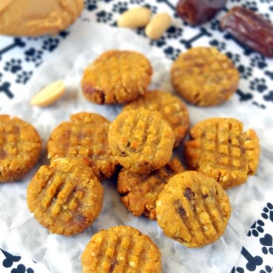 Peanut Butter Pumpkin Dog Cookies - Recipe photo by PutOnYourCakePants