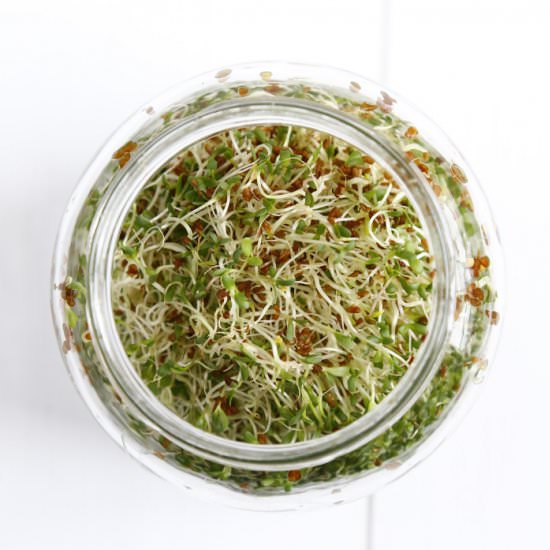 How to sprout - Recipe photo by blanblan