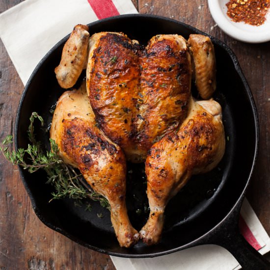 Cast Iron Chicken Diavola - Recipe photo by FamilyStyle Food