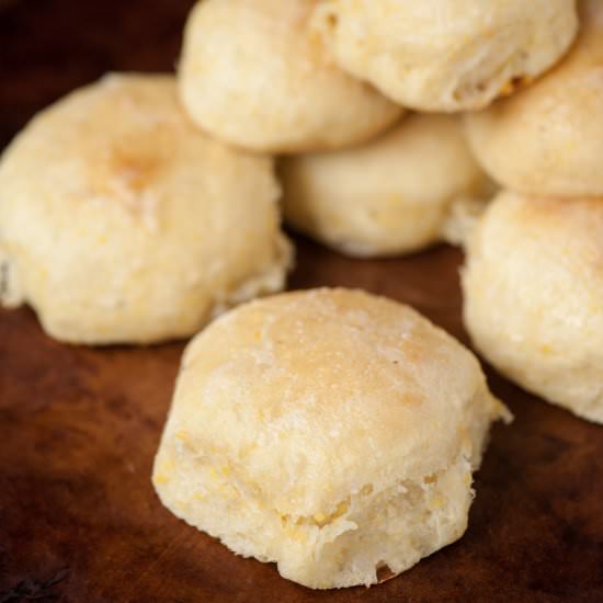 Cornmeal Yeast Rolls - Recipe photo by selfproclaimedfoodie