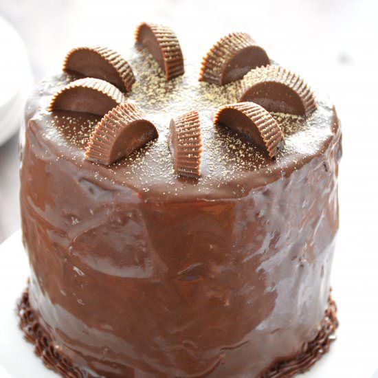 Peanut Butter Cup Ice Cream Cake - Recipe photo by What The Fork Food Blog