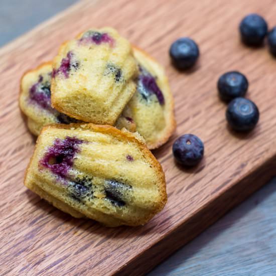 Lemon and Blueberry Madeleines - Recipe photo by maya kitchenette
