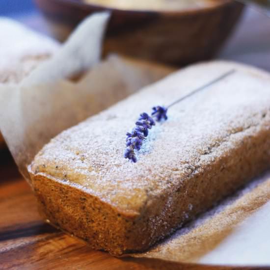 Mini Lemon Poppy Seed Loaves - Recipe photo by Audrey @ Unconventional Baker
