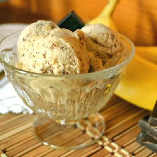 One Ingredient Banana Ice Cream - Recipe photo by craftycookingmama