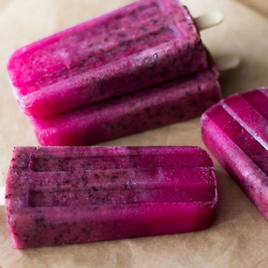 Blueberry & Honey Wellness Pops - Recipe photo by thumpkin