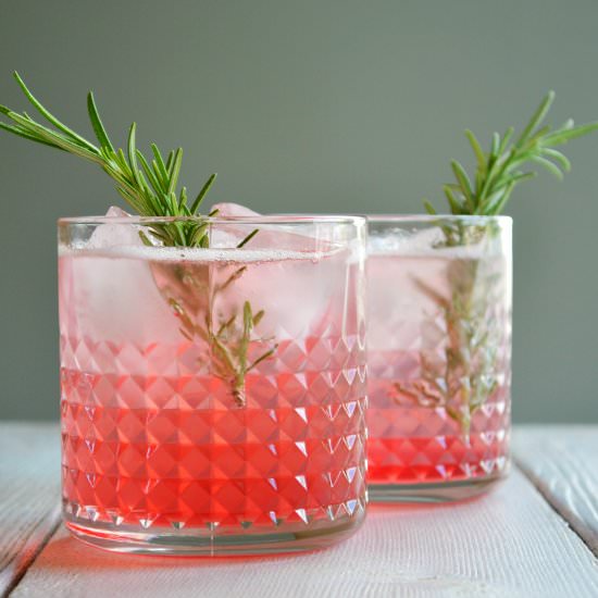 Rhubarb Shrub - Recipe photo by Family Feedbag