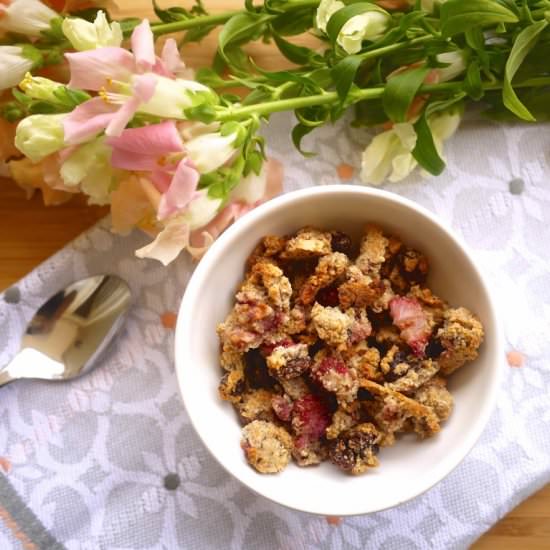 Paleo Strawberry Almond Granola - Recipe photo by perchancetocook.com