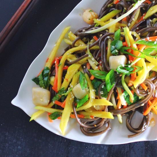 Soba Noodle Salad - Recipe photo by Sprinkles and Sauce