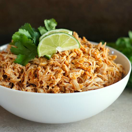 Slow-Cooker Salsa Chicken - Recipe photo by fearlesshomemaker
