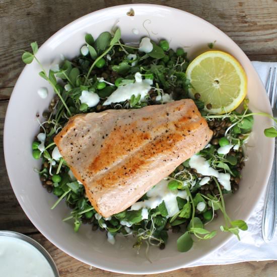 Greens, Salmon & Horseradish Salad - Recipe photo by chasetheflavors